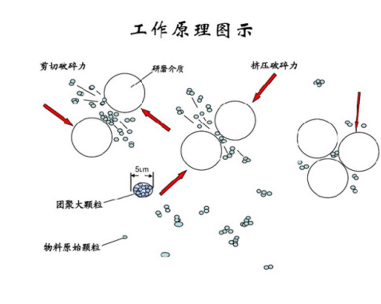 问鼎pg下载入口