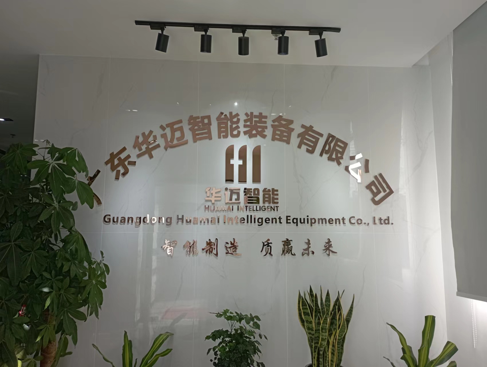 问鼎pg下载入口